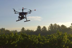 46259_42-44992070-drone-over-grapes