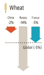 picture2