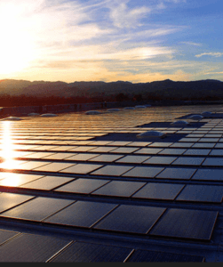 Source: Rodney Strong Vineyards, “Solar Panels Installed, 2003”, https://www.rodneystrong.com/our-story/history/