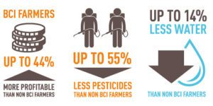 Better Cotton's advantage over traditional cotton processes 