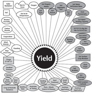 yield