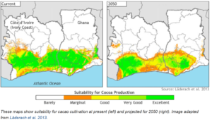Split of Countries Producing Cocoa Beans(5)