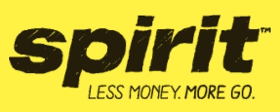 spirit airlines baggage pay online