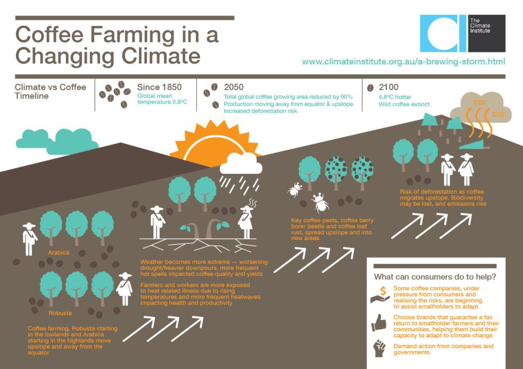 Fig 2 - Possible consequences of coffee production moving to higher elevations