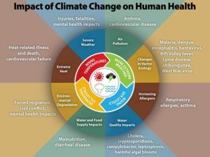 Figure 1: Impact of Climate Change on Human Health [2]