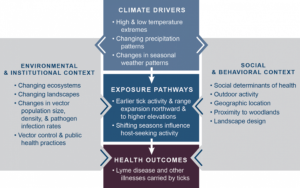 Lyme disease, a tick-borne infection that has spread through much of the US, is illustrative of how climate change threatens population health.
