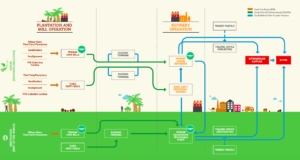 Complexity of Wilmar's supply chain