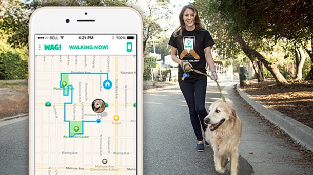 Wag! The Uber of Dog-Walking 