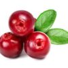 Thomas C. Cranberry IV