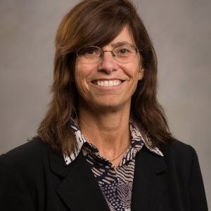 Ann Majchrzak
