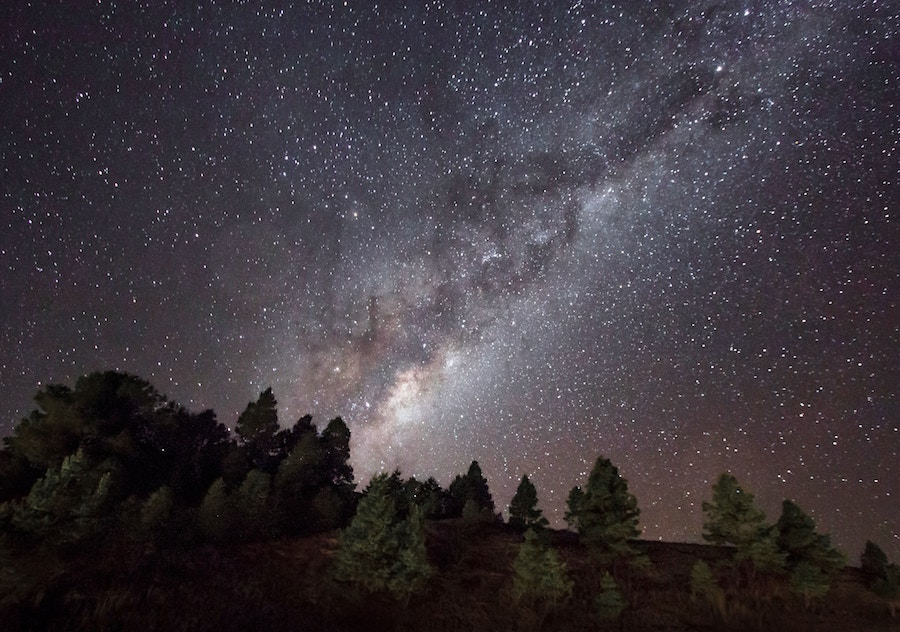Starry nigh over trees