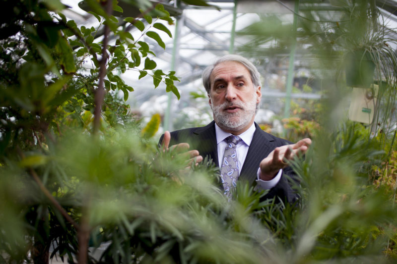 Dan Nocera